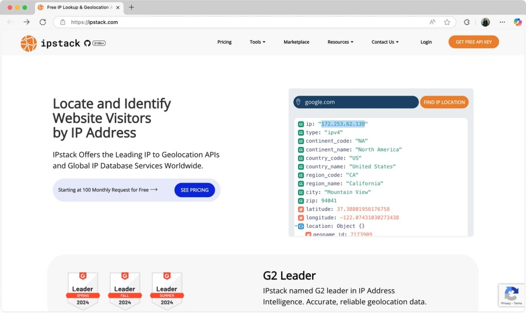 The home screen of IPStack, which can be used to look up a website's IP address.