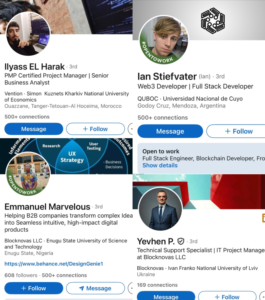 Screenshots of fraudulent LinkedIn profiles 