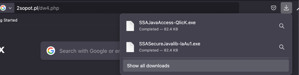 Random executable downloaded in the process