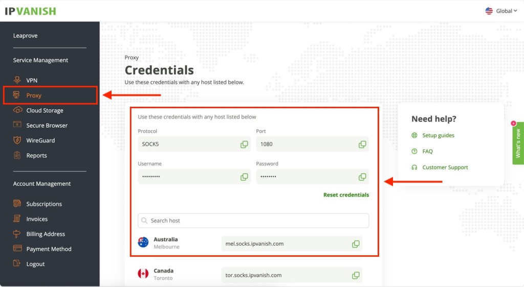 Setting up an IPVanish SOCKS5 proxy, which is done by accessing the VPN's online dashboard.