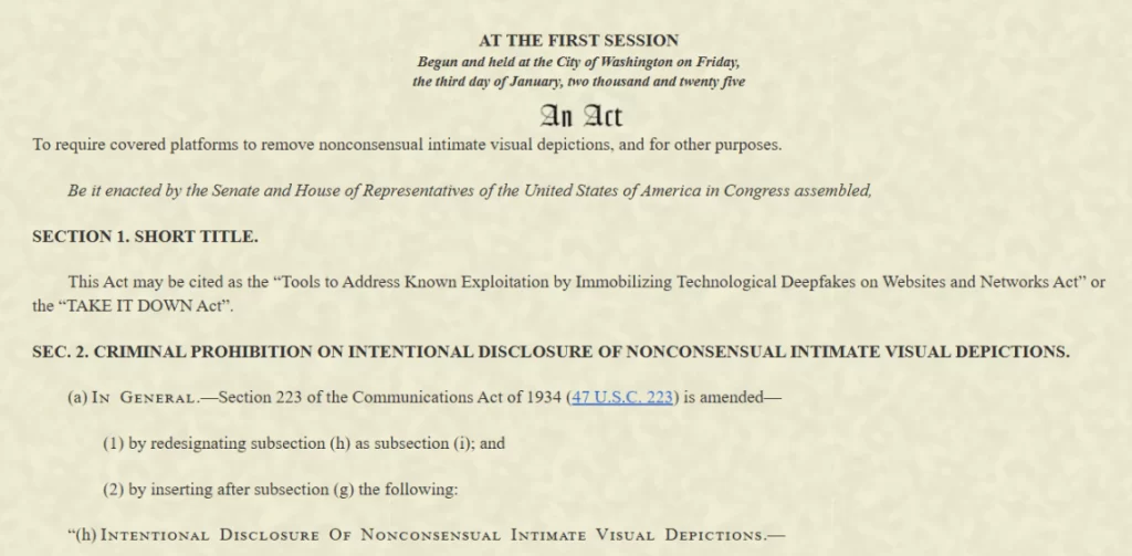 Take it Down Act excerpt