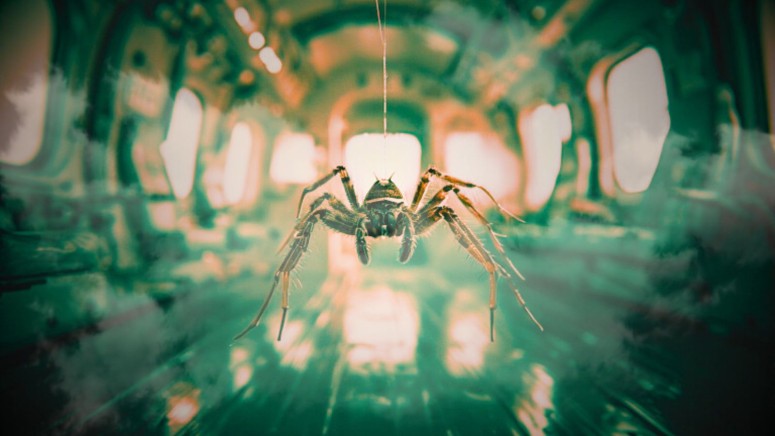 Airline Flight Plane Spider