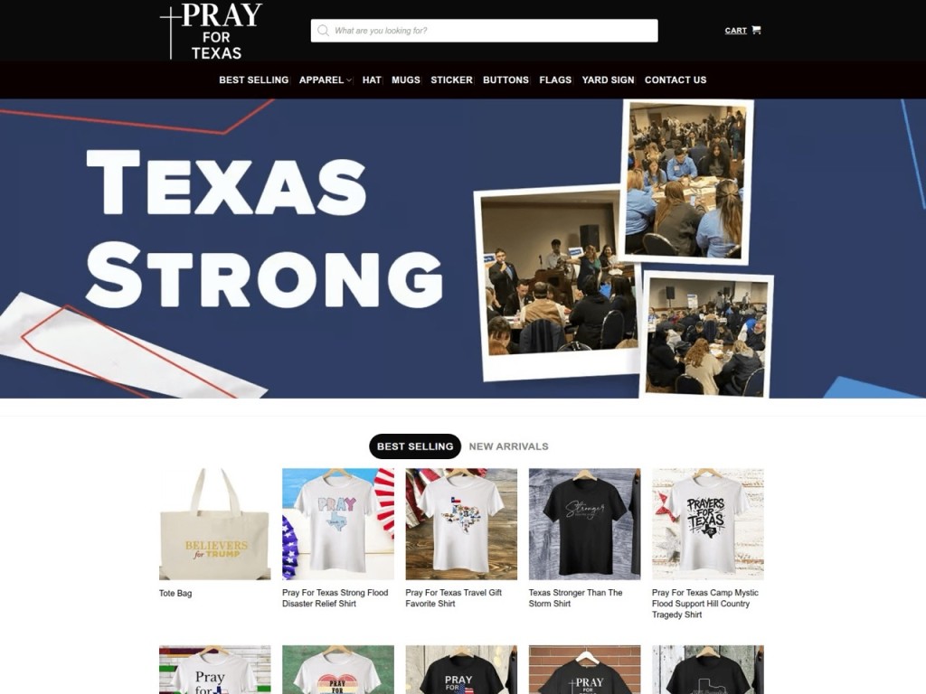Fake Texas flood-themed domain example