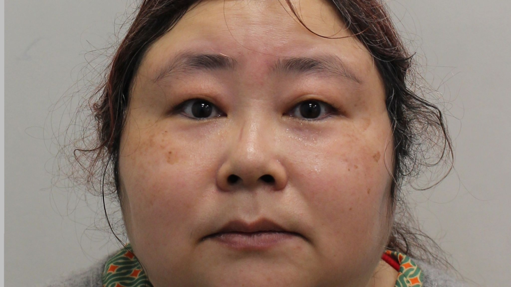 Zhimin Qian has admitted money laundering offenses 