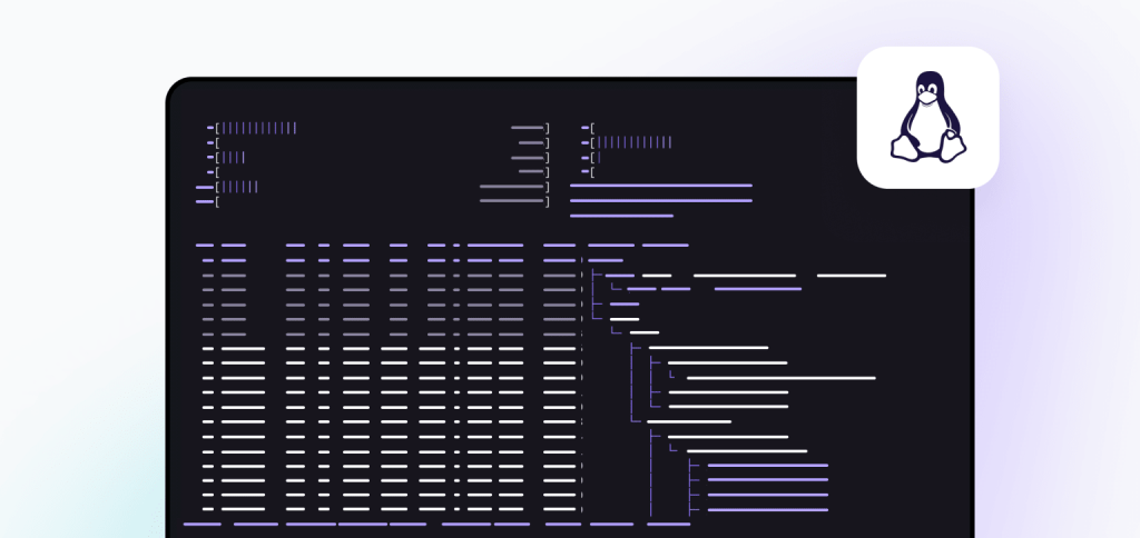 Proton VPN Linux Terminal