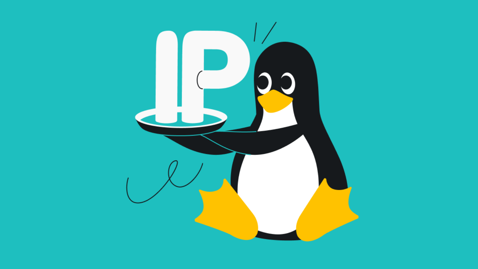 Surfshark Brings Dedicated IP Support to Linux GUI App