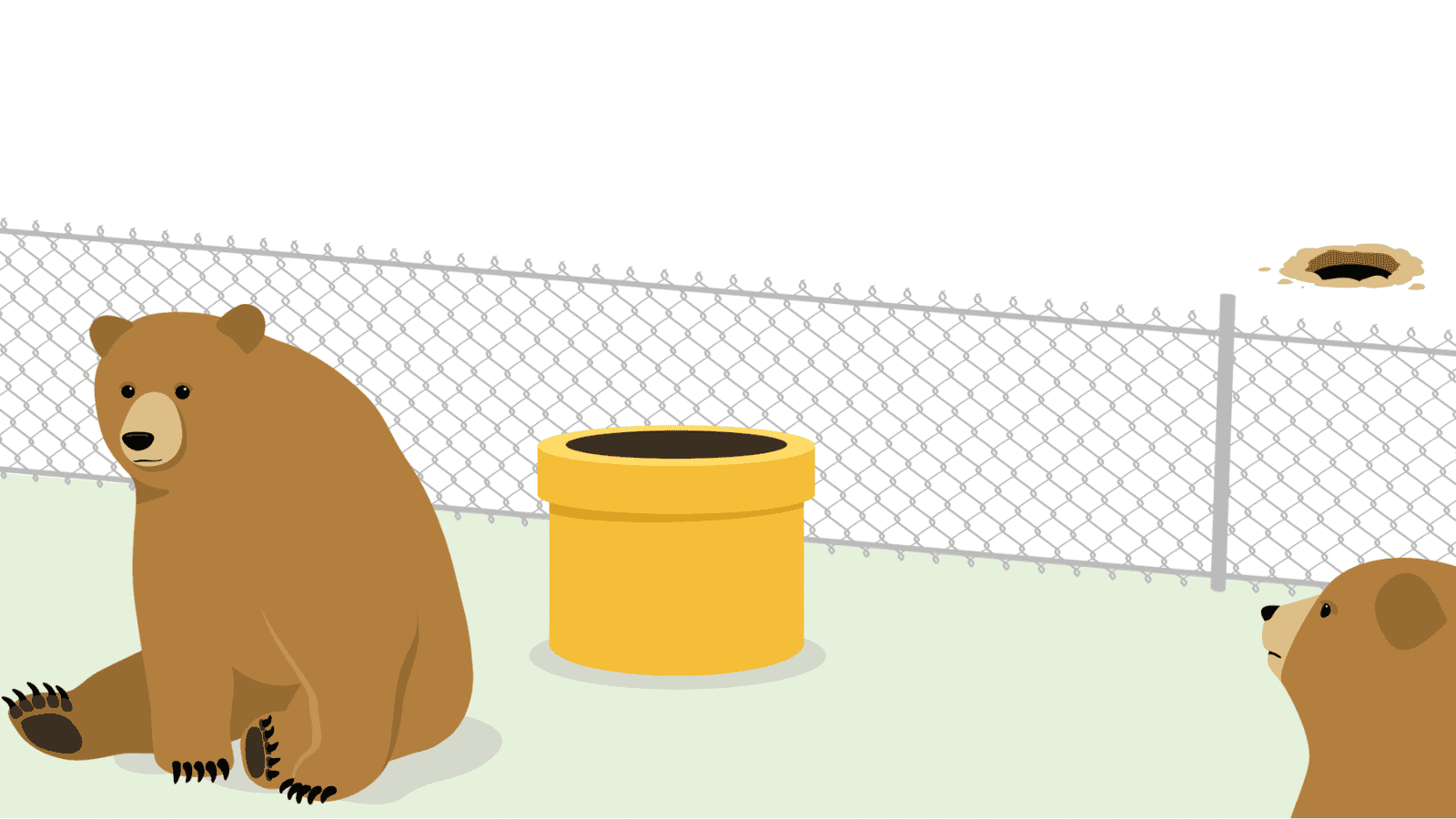 TunnelBear Free Changes Key Updates to Free VPN Features