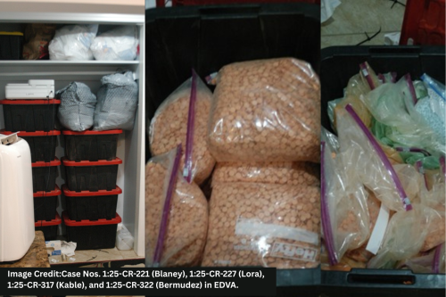 Part of the seized drugs in the Blaney, Kable, Bermudez, and Lora case | Source: DOJ