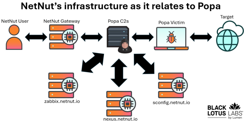 NetNut’s infrastructure scheme | Source: Black Lotus Labs by Lumen